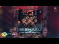 Professor - Isibhaxu [ft. Mampintsha, Babes Wodumo & Pex Africah] (Official Audio)