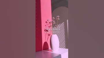 سورة الإخلاص بصوت جميل جدا 🌷💞حالات واتس اب دينية قصيرة ✅🌹