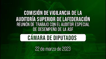 ¿Cuáles son las 7 funciones básicas de la gestión?