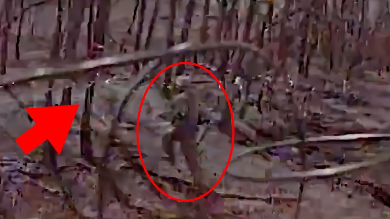 Soldier Run Into Tree When Trying To Avoid Drone - YouTube