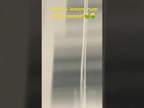 Mmm A Lemon NUMNUM Ooooo 