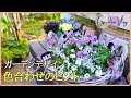 色選びで庭の印象がかわります/色の効果を知って庭や寄せ植えをデザイン