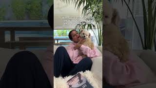 He Just Has Better Energy