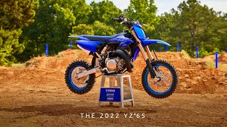 Motocross Dreams Start Here: 2022 YZ65