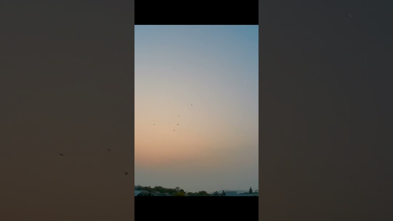 Late moonrise and early dawn 