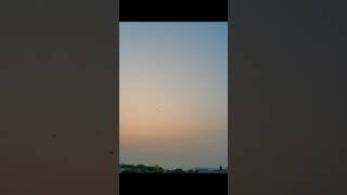 Late moonrise and early dawn #timelapse #timelapsevideos #sunrise #timelapsesunrise #sun #sky #moon Late moonrise and early dawn #timelapse #timelapsevideos #sunrise #timelapsesunrise #sun #sky #moon
