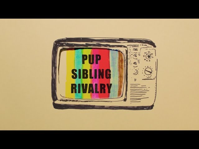 PUP - SIBLING RIVALRY (Official Music Video) class=