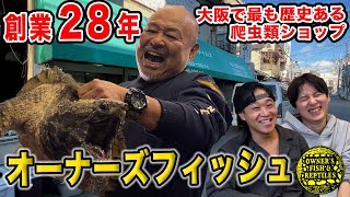 爬虫類店オーナーが他ショップを紹介大阪の老舗爬虫類店【オーナーズフィッシュ&レプタイルズ】