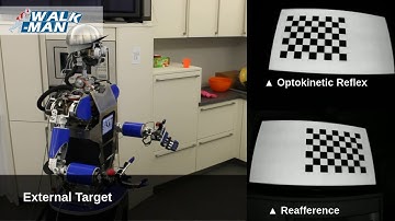 Multimodal Gaze Stabilization of a Humanoid Robot based on Reafferences