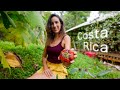 How to create a completely sustainable farm  tour  costa rica