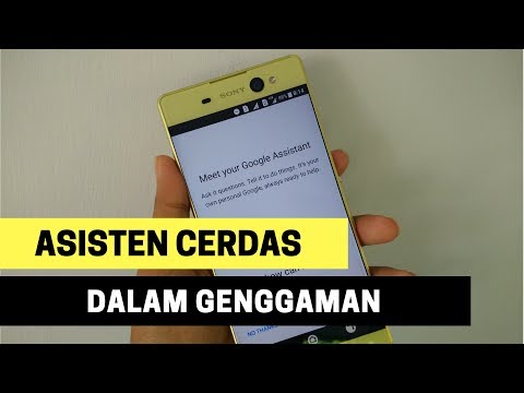 Video: Apa itu ponsel Google Android?