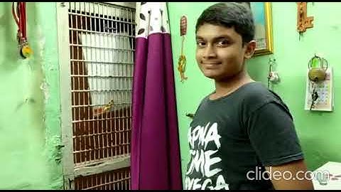 DBHS Matunga: Class assembly Std 10 D – Voice over and mime.