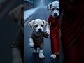 Puppy sapna dekh raha tha…par haath me sirf maa ka  dard tha 💔🐶”