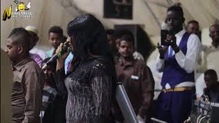 عشة الجبل - بشيركي - الطيب - هي دي مالا - اغاني سودانية 2020