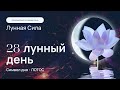 Курс &quot;Лунная сила&quot; - 28 лунный день: динамическая медитация на раскрытие чакр. Кундалини