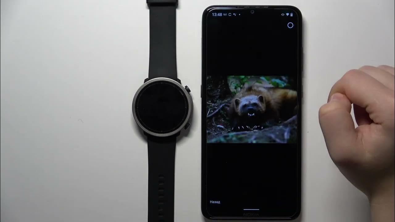 Mibro watch приложение. Смарт-часы mibro lite2. Xiaomi mibro color smartwatch. Xiaomi mibro fit часы. Mibro умные часы mibro watch lite 2.