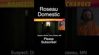 Domestic Violence Charges In Roseau County, MN