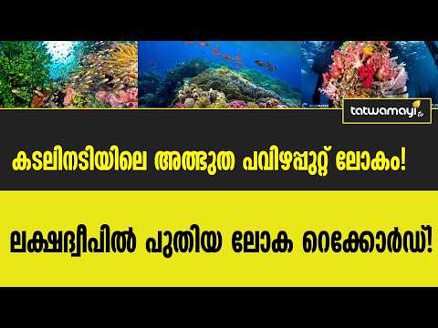 കടലിനടിയിലെ അത്ഭുത പവിഴപ്പുറ്റ് ലോകം ! നടുക്കുന്ന കണ്ടെത്തൽ