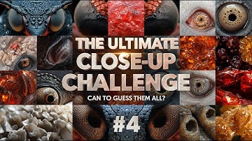 The Ultimate Close-Up Challenge – Can You Guess Them All? #4