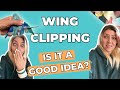 The PROBLEMS with Wing Clipping!