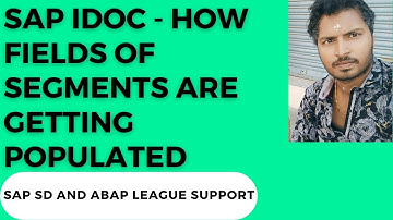 SAP IDOC - How fields of segments are getting populated