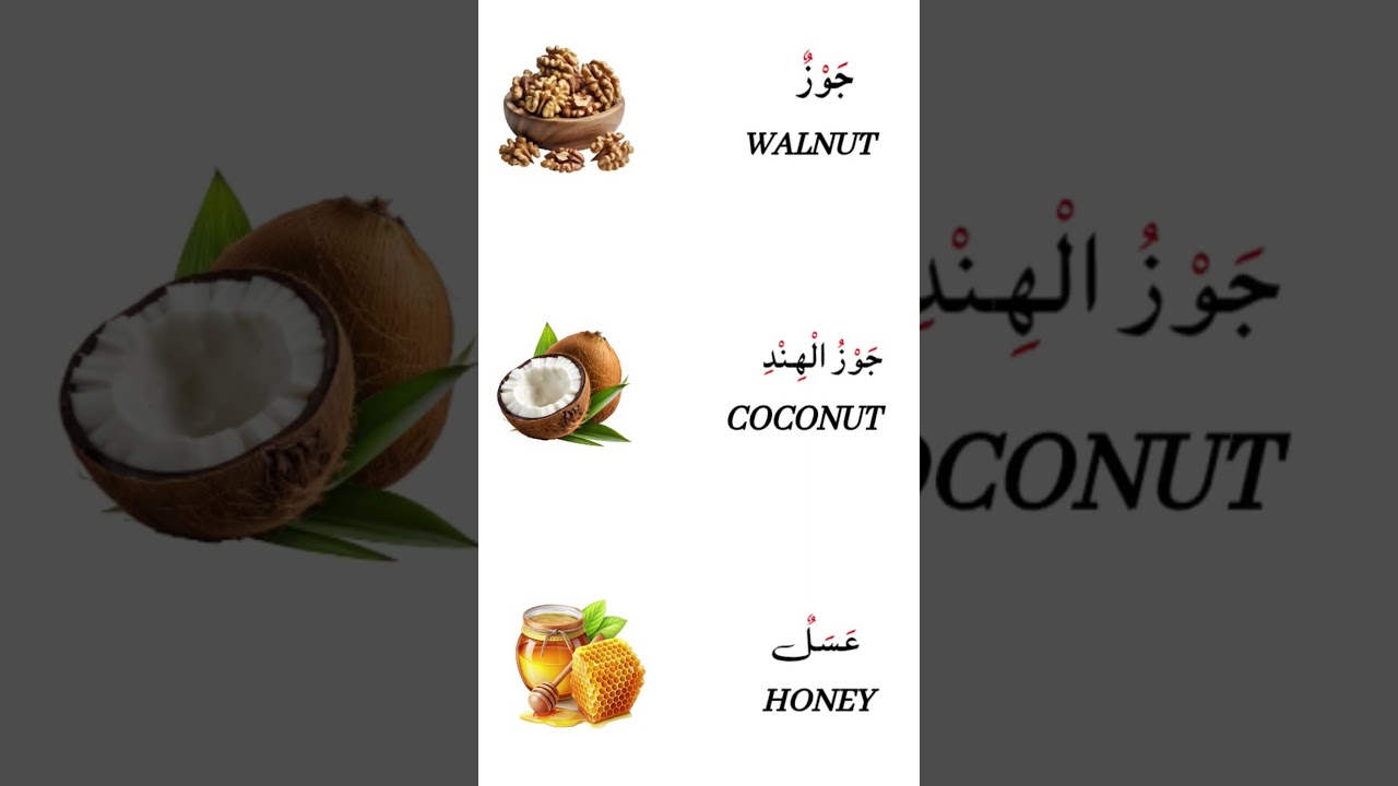 Arabic and English words daily#coconut#walnut#honey#explore#shorts#arabic #english#words#subscribe