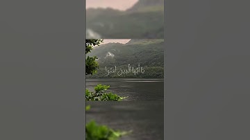 سيهديهم ويصلح بالهم#قرآن #ارح_قلبك #تلاوة_خاشعة #راحة_نفسية #اكسبلور #لايك