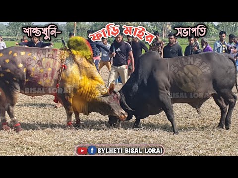 Sovapothi Vs Shanto Khuni 2 || Today's Mair