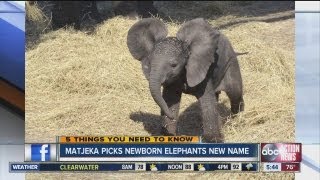 Five things you need to know for Monday, August 19, 2013