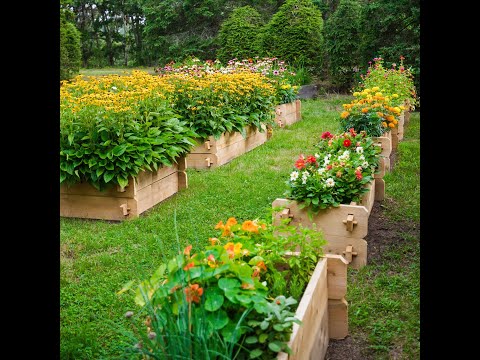 Video: Raised Flower Bed Decoration