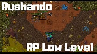 RP 8 - 30] Rushando RP Low Level (stealth ring) 