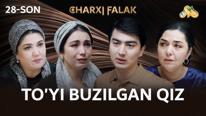 Qizning mushukiga tiqilgan narsalar bor