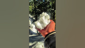 Thumbnail of Snow⛄️ #snow #snowfall #snowlover  #song #music #bollywood #love #jubinnautiyal #line #sadmusic #sad