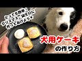 【超簡単】犬用ケーキ作り方　ボーダーコリー柚輝のお誕生日★