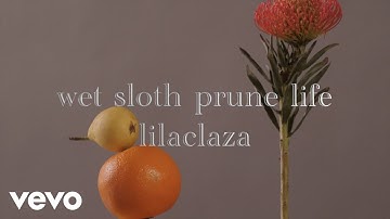 Prickly Pear Records - concinnity soup (Official Music Video) ft. wet sloth prune life, lilaclaza