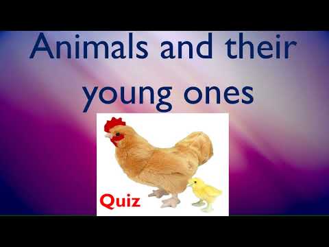QUIZ ON ANIMALS AND THEIR YOUNG ONES | class 4 | Science | Quiz | Smiley  Kidz | - YouTube
