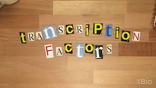 What are Transcription Factors?