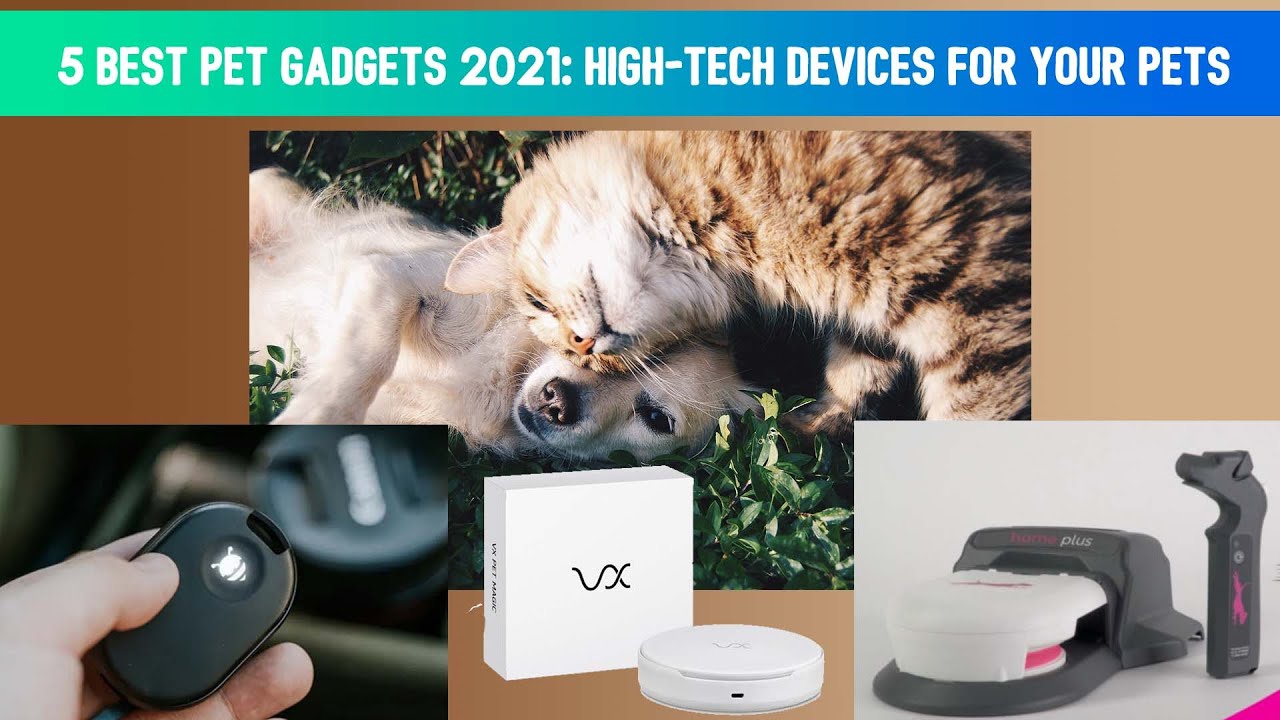 5 Best Pet Gadgets 2021 HighTech Devices For Your Pets🐶🐱 YouTube