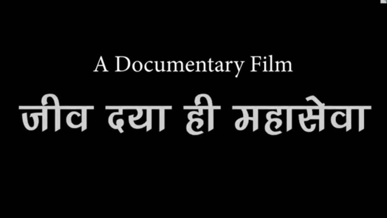 जीव दया ही महासेवा - Documentary #jeevadara #documentarybird