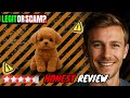 Froplay Toy Dog Reviews — Is This Interactive Dog Toy Worth It?
