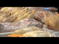 Польза и вред мяса утки