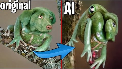 Cursed Images - Luma Ai