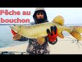 Le montage et la peche au bouchon vif simple et efficace peche dun trs gros brochet carnassier