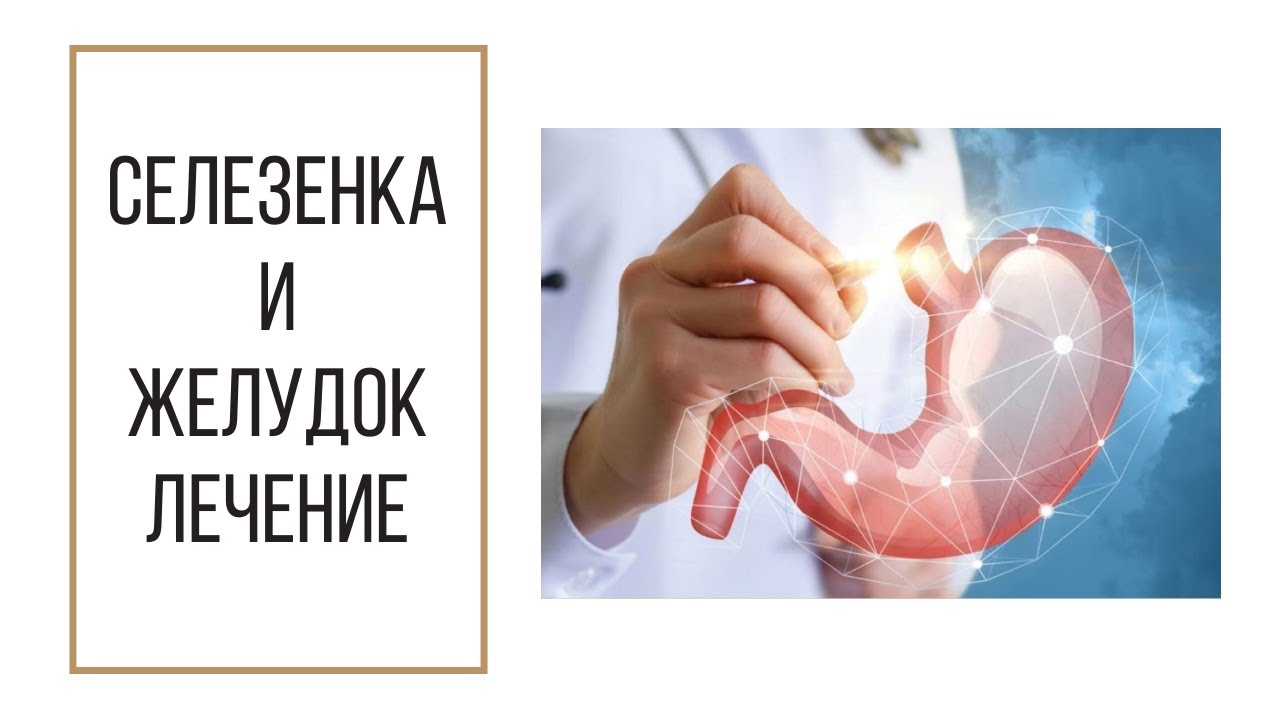 Селезенка (поджелудочная железа) и желудок, часть 3: заболевания и ...