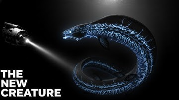 A New Deep-Sea Entity Recorded in 2025: The Umbral Orphid Encounter