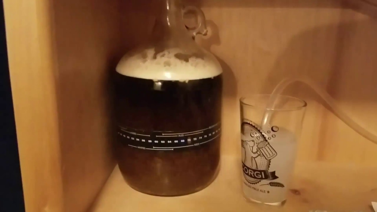 Homebrewed Belgian Abbey Dubbel 1 Gallon Recipe by Craft a Brew Part 1/