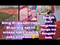 Sting Ringe Measa Sak6 Mechik Sak2 Bisarang10 Siaha Bangal Saksa Tomtomna Nanga Ine Agana