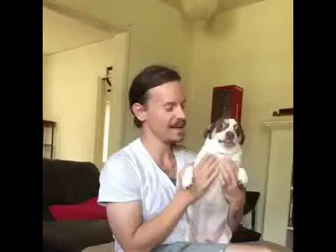 ozzy osbourne mr bubz