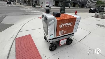 Robot helps Detroit restaurant reduce food waste and emissions