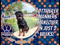 Middle tn dog trainers  1 year old male rottweiler manners makeover in 2 weeks